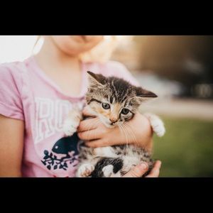 Meet your Posher, Caitlin